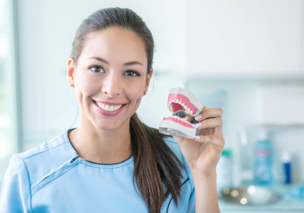 Smiling dental professional holding a denture model